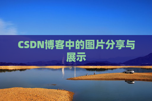 CSDN博客中的图片分享与展示